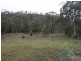 7526 Mckillops Road, Bruthen VIC 3885