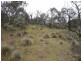 7526 Mckillops Road, Bruthen VIC 3885