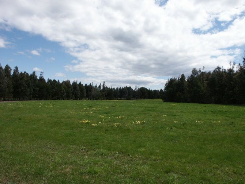 Tambo Upper VIC 3885