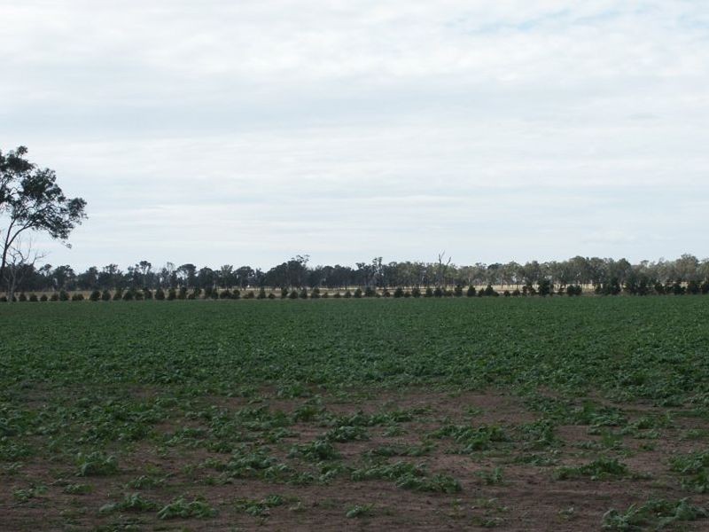 Lindenow South VIC 3875