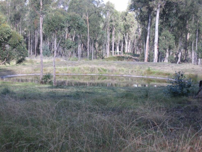 175 Mount Lookout Road, Bairnsdale VIC 3875
