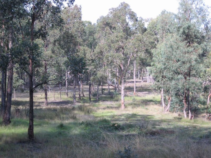 175 Mount Lookout Road, Bairnsdale VIC 3875
