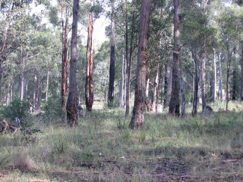 175 Mount Lookout Road, Bairnsdale VIC 3875