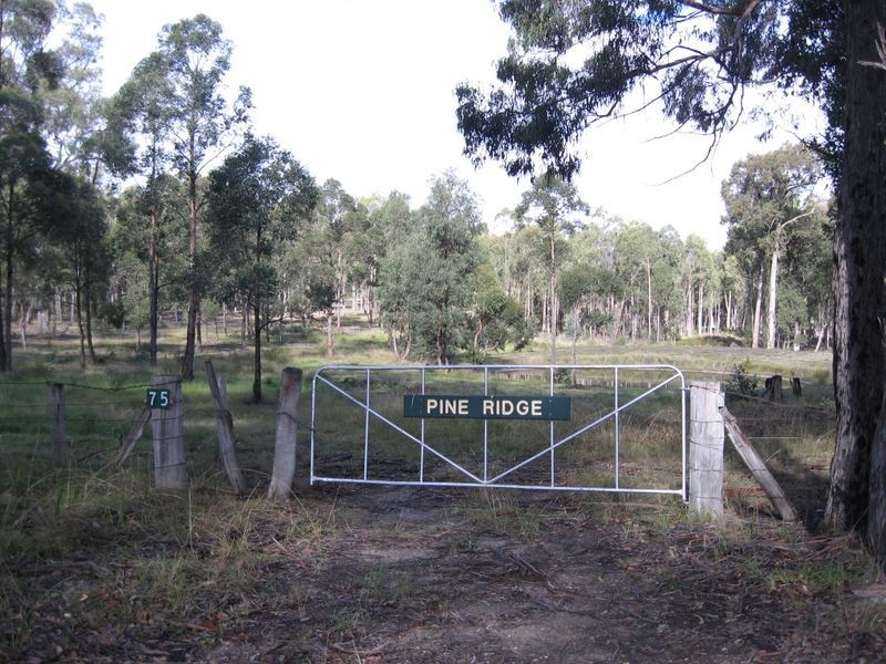 175 Mount Lookout Road, Bairnsdale VIC 3875