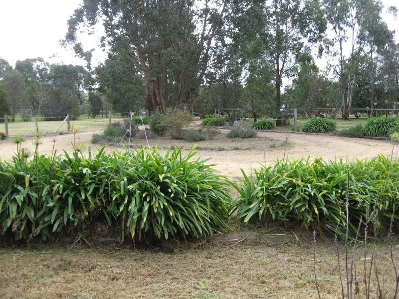 10 The Riverside, Nicholson VIC 3882