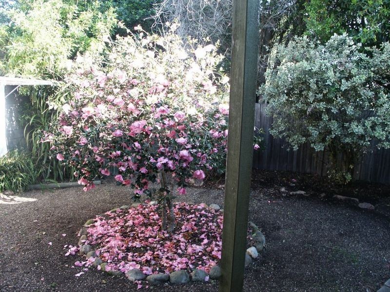 3 Greene Street, Bairnsdale VIC 3875