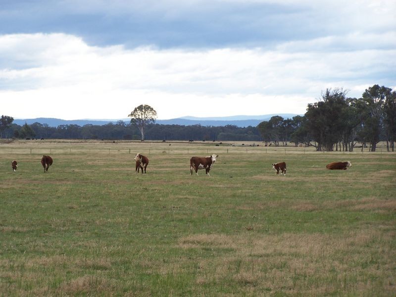 Lot 2  900 Fernbank Lindenow South Road, Fernbank VIC 3864