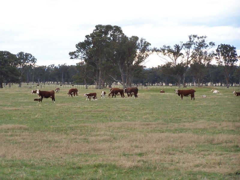 Lot 2  900 Fernbank Lindenow South Road, Fernbank VIC 3864