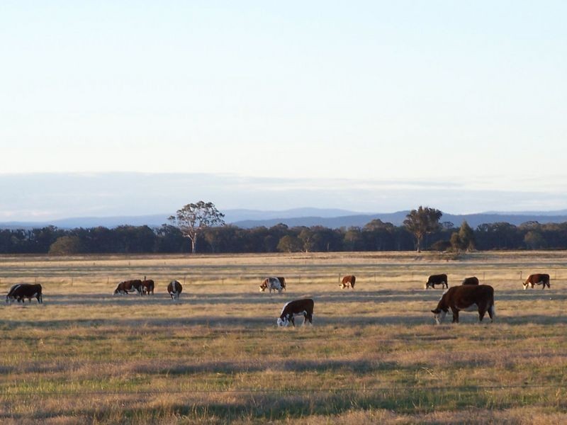 Lot 2  900 Fernbank Lindenow South Road, Fernbank VIC 3864