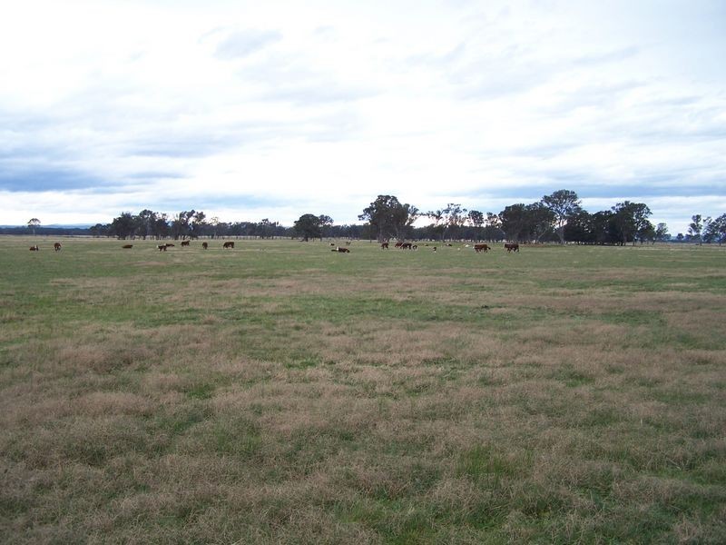 Lot 2  900 Fernbank Lindenow South Road, Fernbank VIC 3864