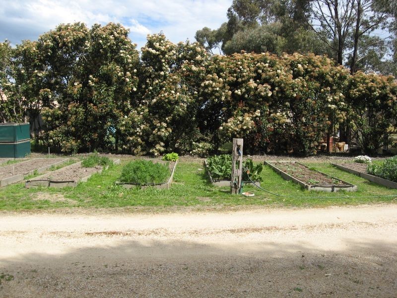 Bairnsdale VIC 3875