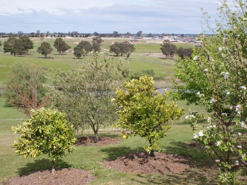 16 The Boulevard Wy Yung, Bairnsdale VIC 3875