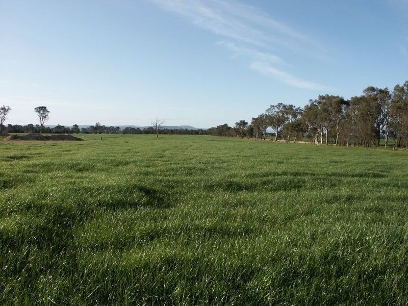 1355 Princes Highway, Bairnsdale VIC 3875