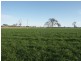 1355 Princes Highway, Bairnsdale VIC 3875