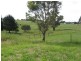 Nicholson VIC 3882