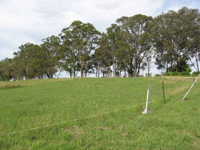 Nicholson VIC 3882