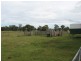 Lindenow South VIC 3875
