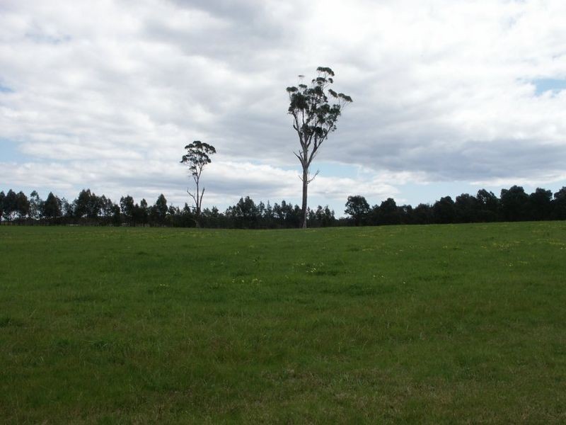 Tambo Upper VIC 3885