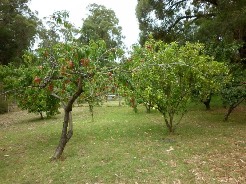 Nicholson VIC 3882