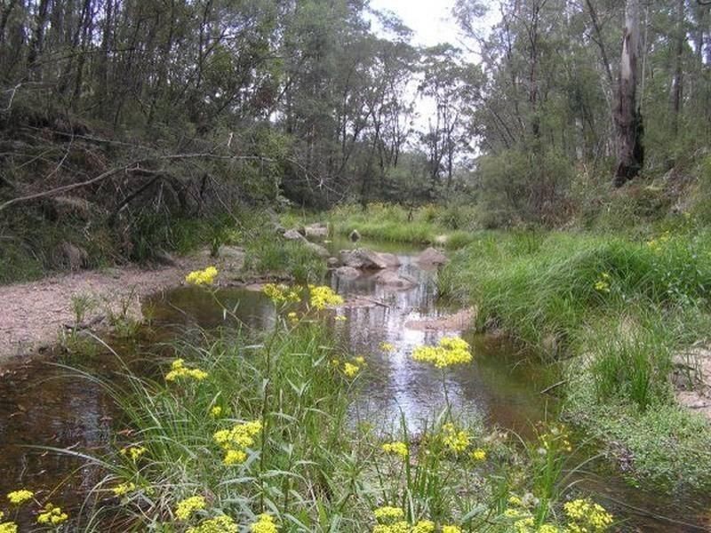 3019 Monaro Highway, Chandlers Creek VIC 3890