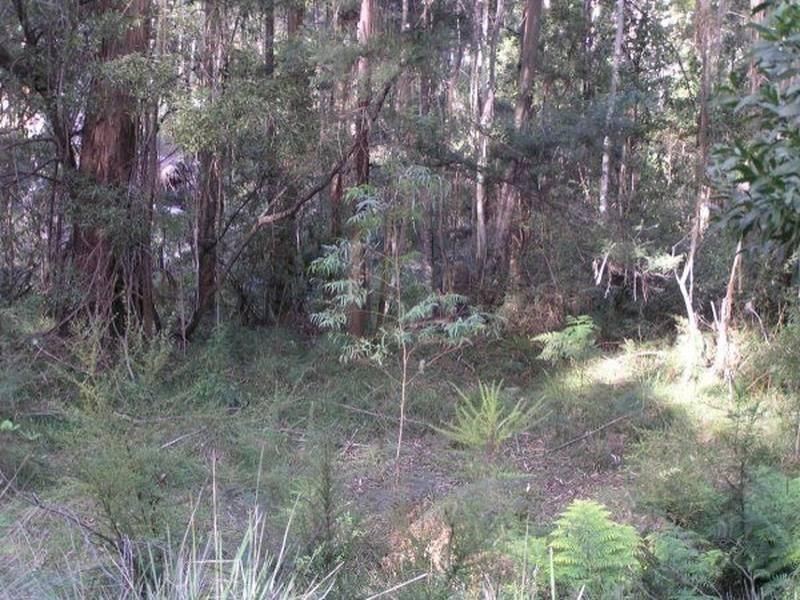 3019 Monaro Highway, Chandlers Creek VIC 3890