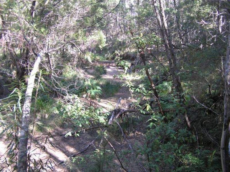 3019 Monaro Highway, Chandlers Creek VIC 3890