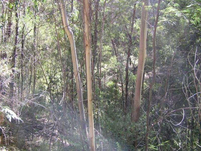 3019 Monaro Highway, Chandlers Creek VIC 3890