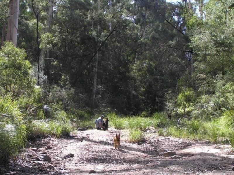 3019 Monaro Highway, Chandlers Creek VIC 3890