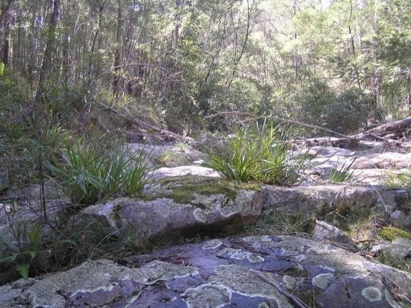 3019 Monaro Highway, Chandlers Creek VIC 3890