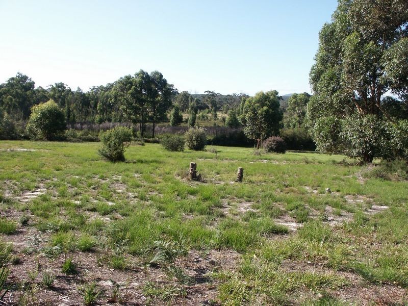 LOT 14&16 Kathleen Drive, Bemm River VIC 3889