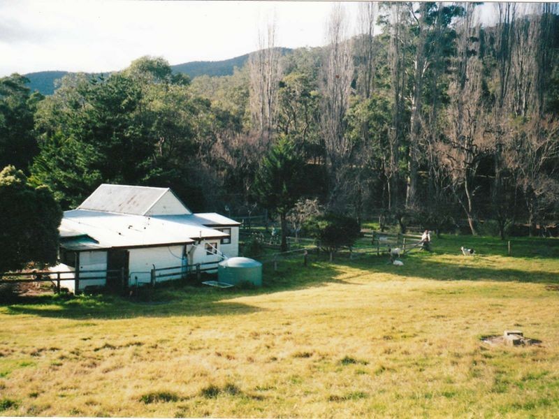 6769 Dargo Road CASTLEBURN, Dargo VIC 3862