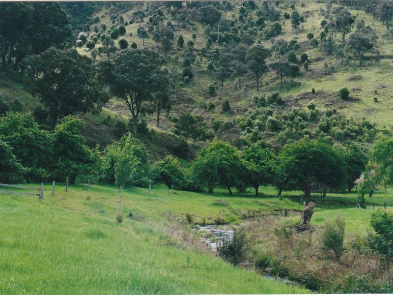 6769 Dargo Road CASTLEBURN, Dargo VIC 3862