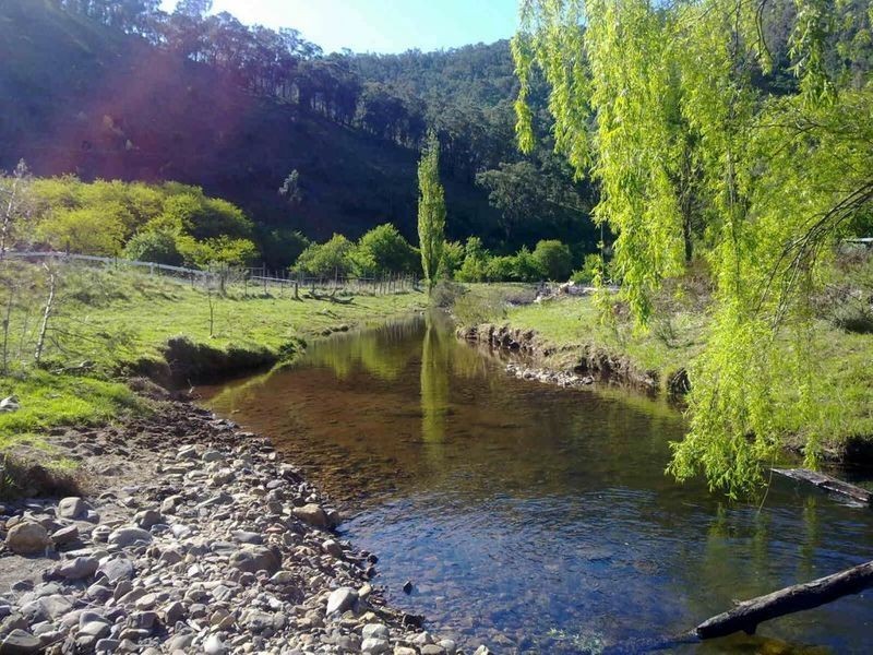 6769 Dargo Road CASTLEBURN, Dargo VIC 3862