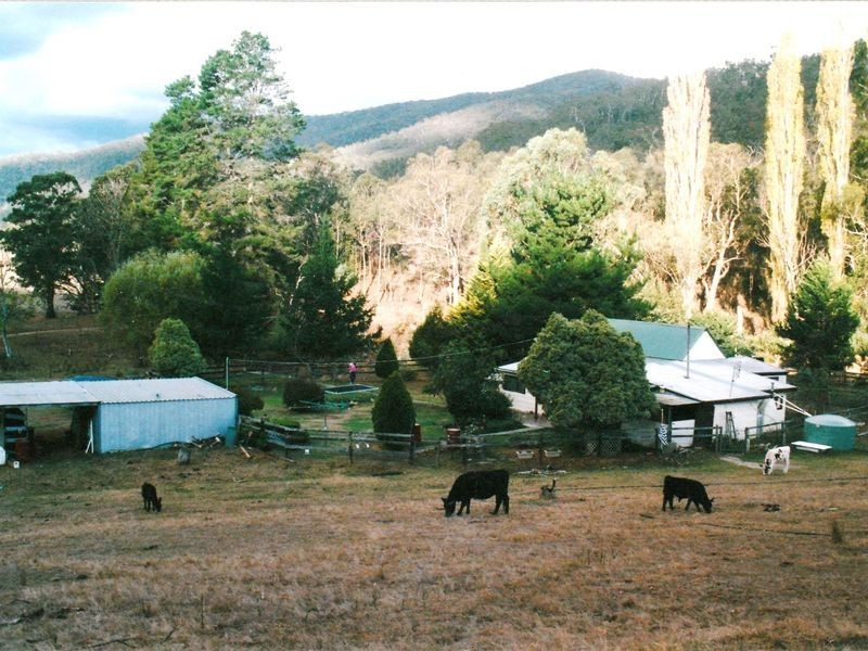 6769 Dargo Road CASTLEBURN, Dargo VIC 3862