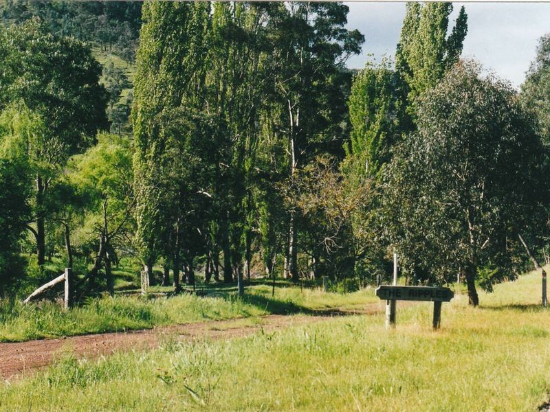 6769 Dargo Road CASTLEBURN, Dargo VIC 3862