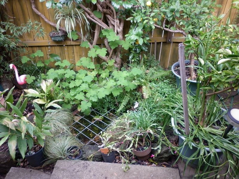 1/34 Goold Street, Bairnsdale VIC 3875