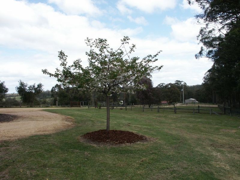 Tambo Upper VIC 3885