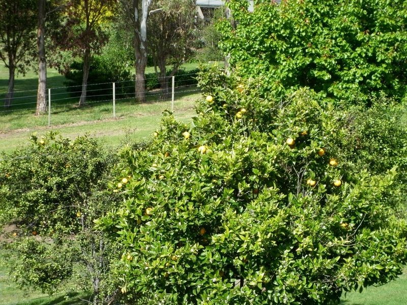 12 Riverview Close, Wy Yung VIC 3875