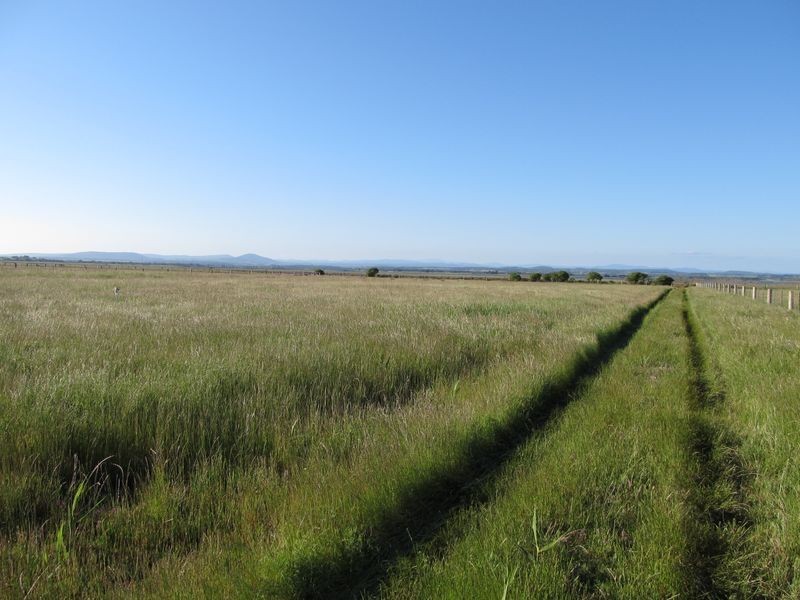 710 Riverbank East Road, Bairnsdale VIC 3875