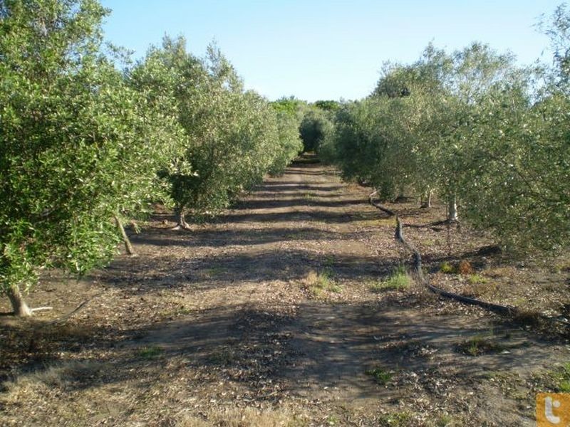 710 Riverbank East Road, Bairnsdale VIC 3875