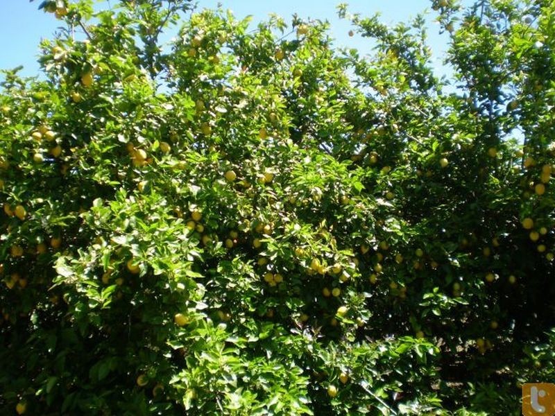 710 Riverbank East Road, Bairnsdale VIC 3875