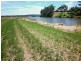 Bairnsdale VIC 3875