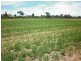Bairnsdale VIC 3875