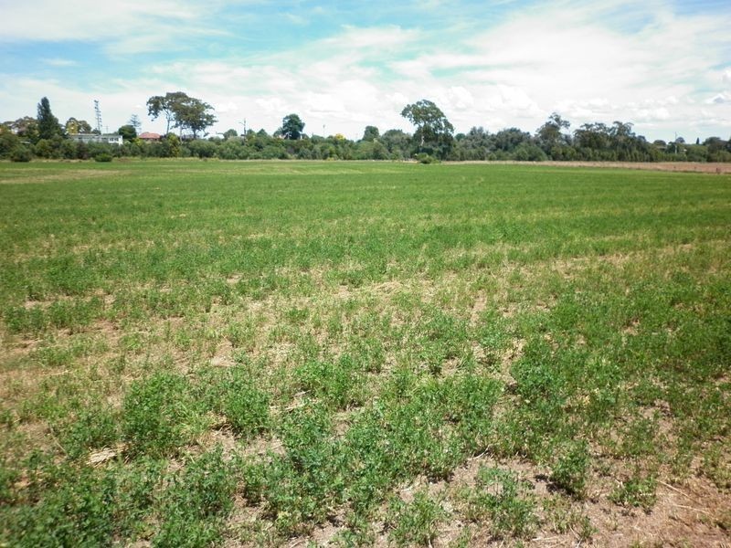 Bairnsdale VIC 3875