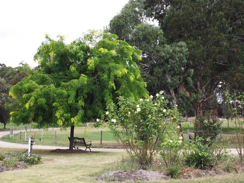 430 Swan Reach Road Bumberah, Bumberrah VIC 3902