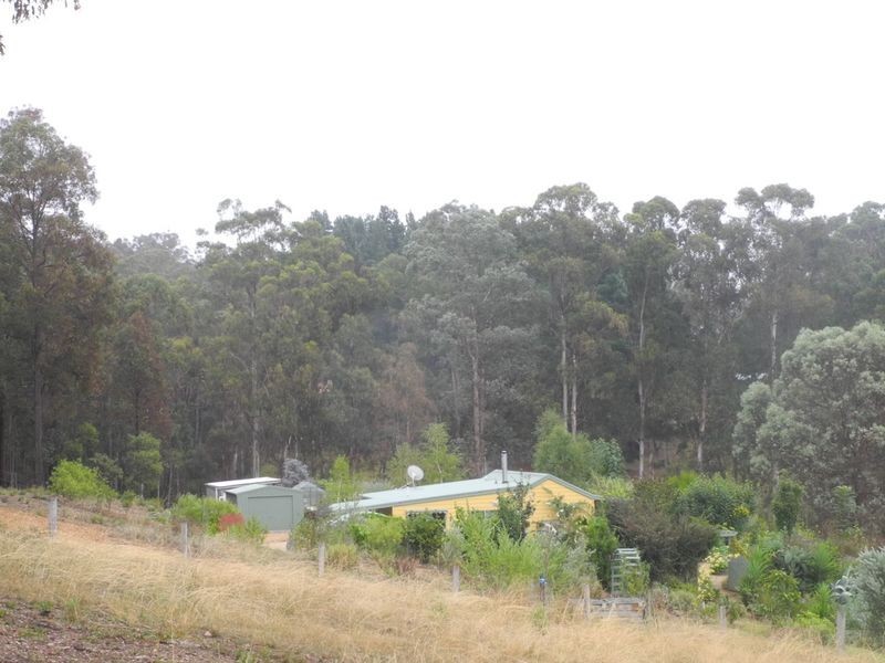 500 Bellbird Road Clifton Creek, Bairnsdale VIC 3875