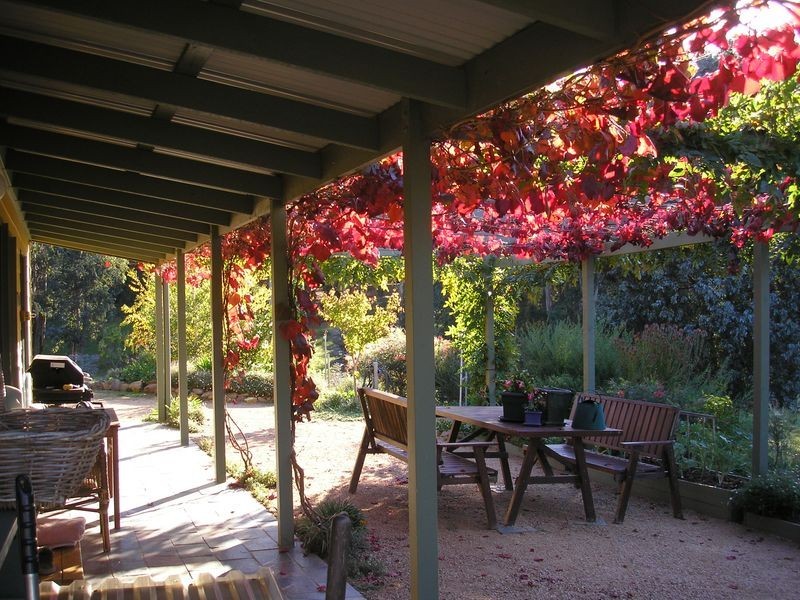 500 Bellbird Road Clifton Creek, Bairnsdale VIC 3875