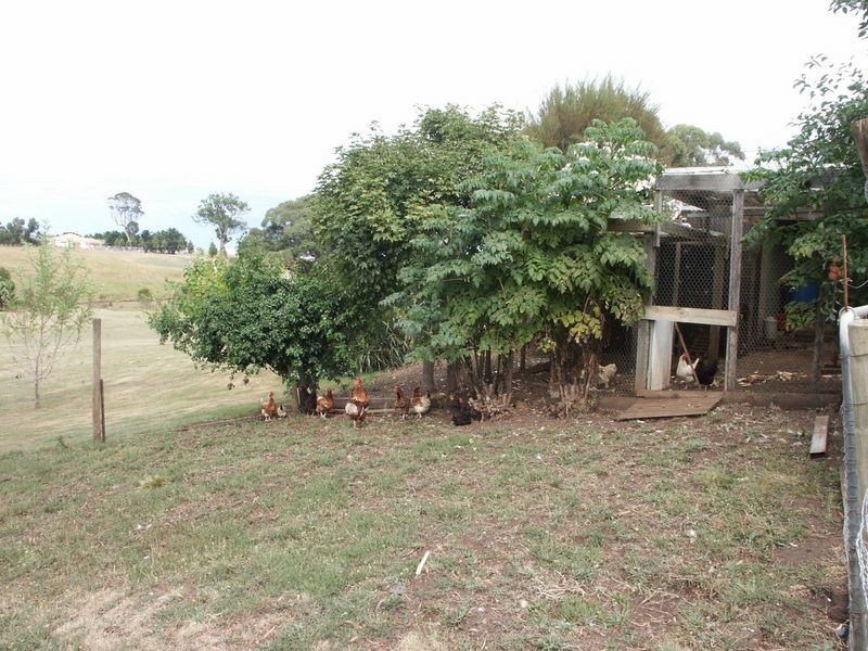 25 McAuleys Road, Bairnsdale VIC 3875