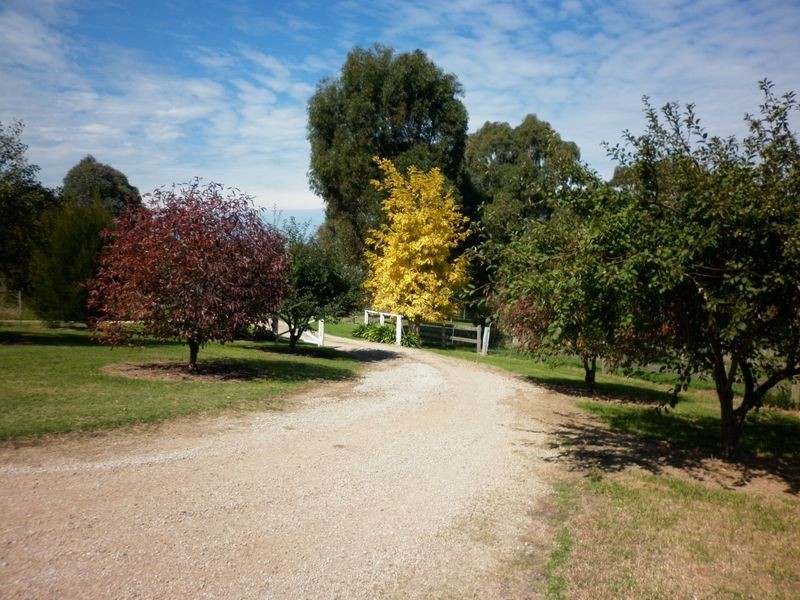 35 McAuleys Road, Bairnsdale VIC 3875