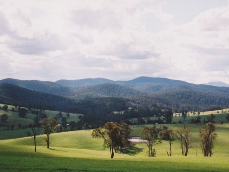 49 Main Road, Buchan VIC 3885